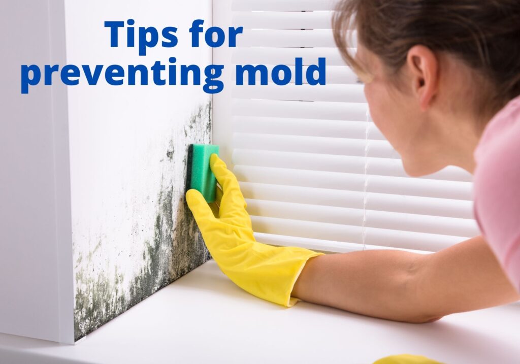 Tips from a Mold Removal Specialist in Minneapolis MN-blogimage